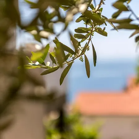 301a Διαμέρισμα